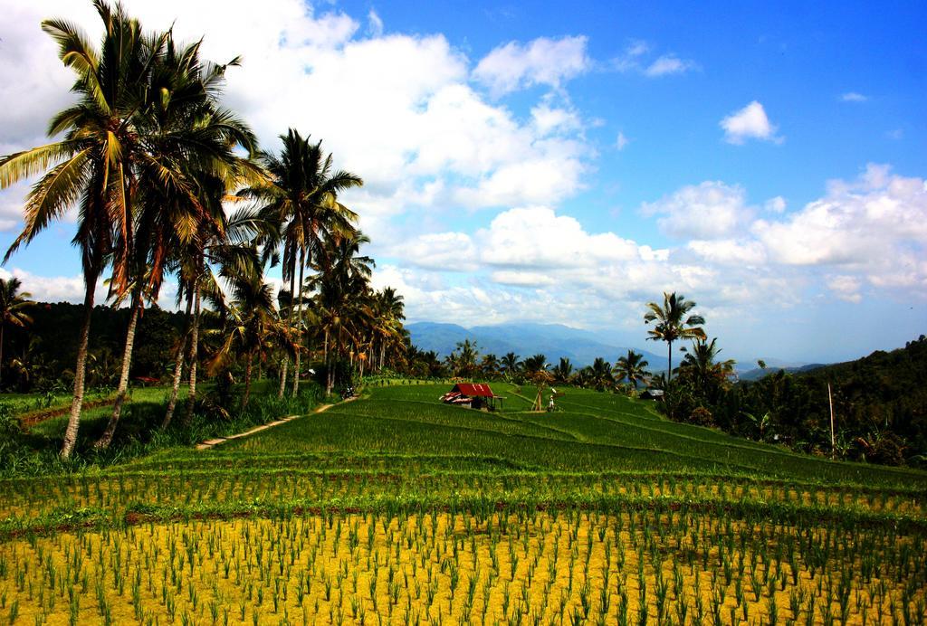 Puri Alam Bali 호텔 문덕 외부 사진